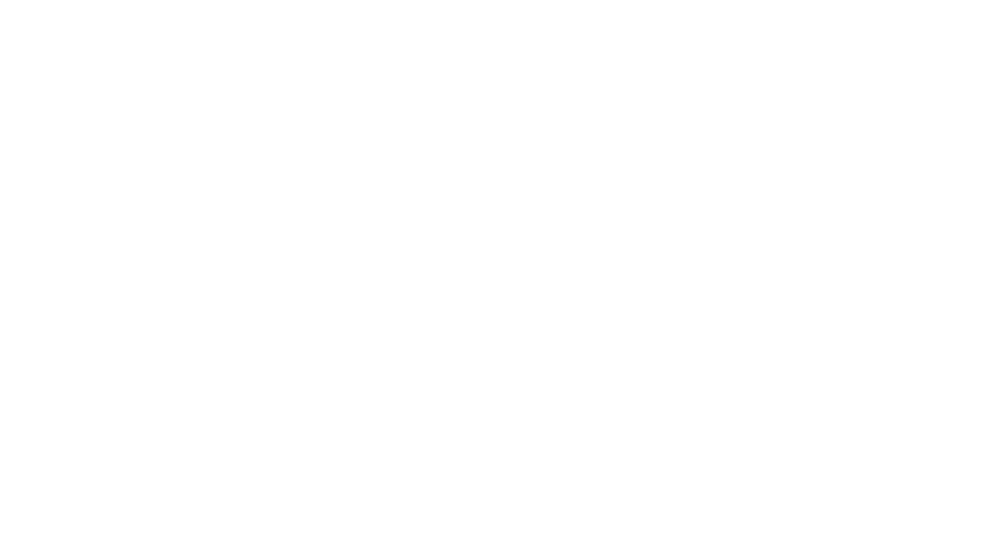 Florida Dance Gym logo